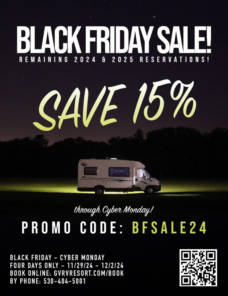 Black Friday Sale