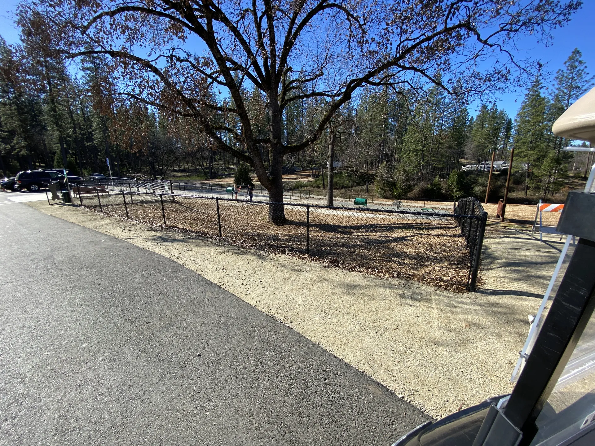 Fenced dog park under the oaks at Grass Valley RV Resort