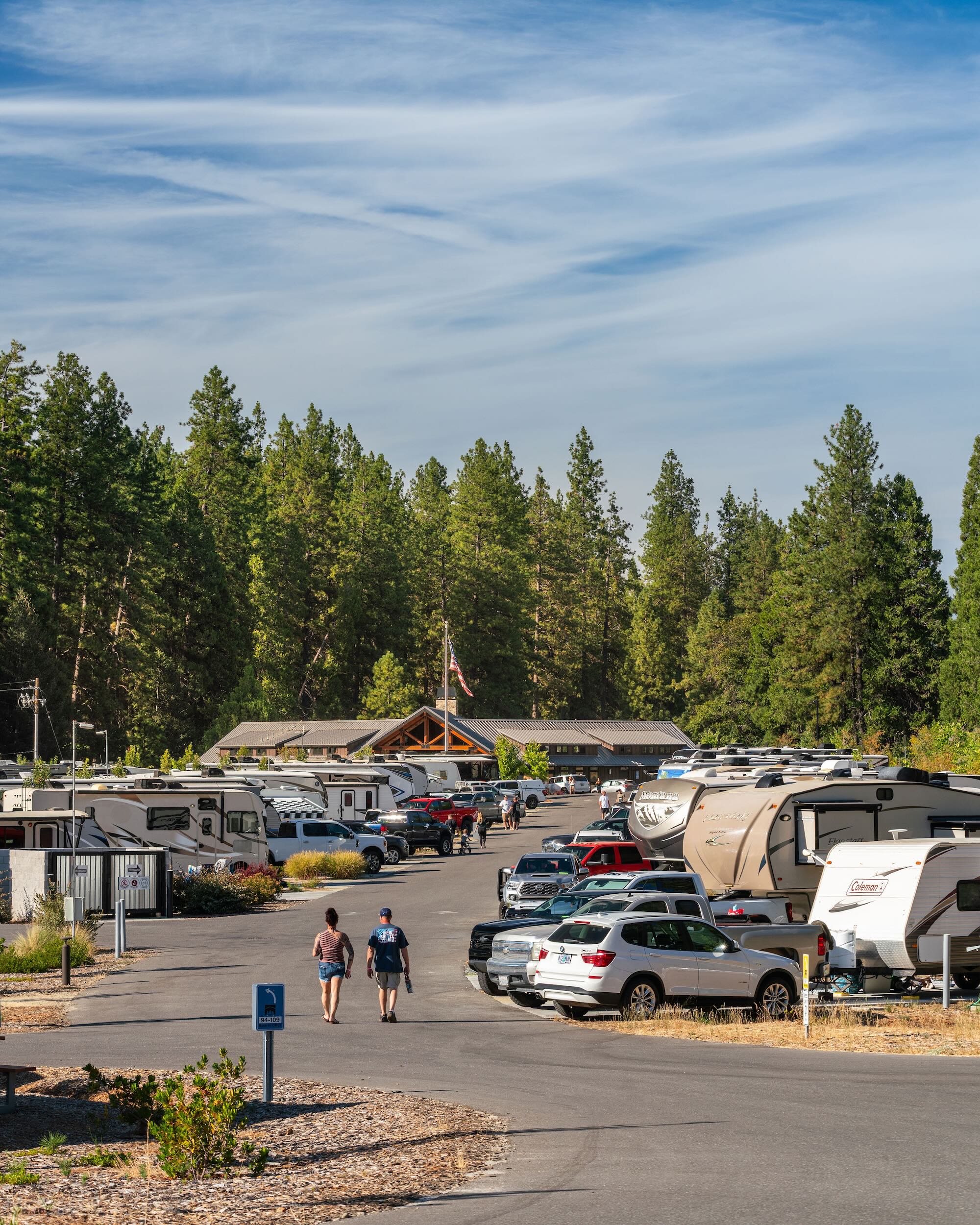 Resort roadway and RV sites beneath the pines